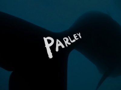 Parley - Projekt gegen Plastikmüll in den Ozeanen