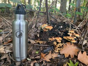 thermoTANKA isolierte Thermosflasche im Wald
