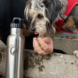 Edelstahl Trinkflasche mit Hund